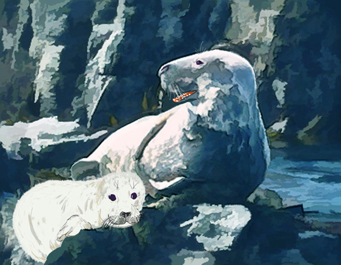 Singing Seal with her pup