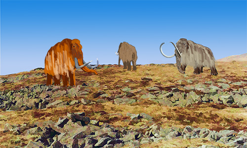 Herd of Mammoths